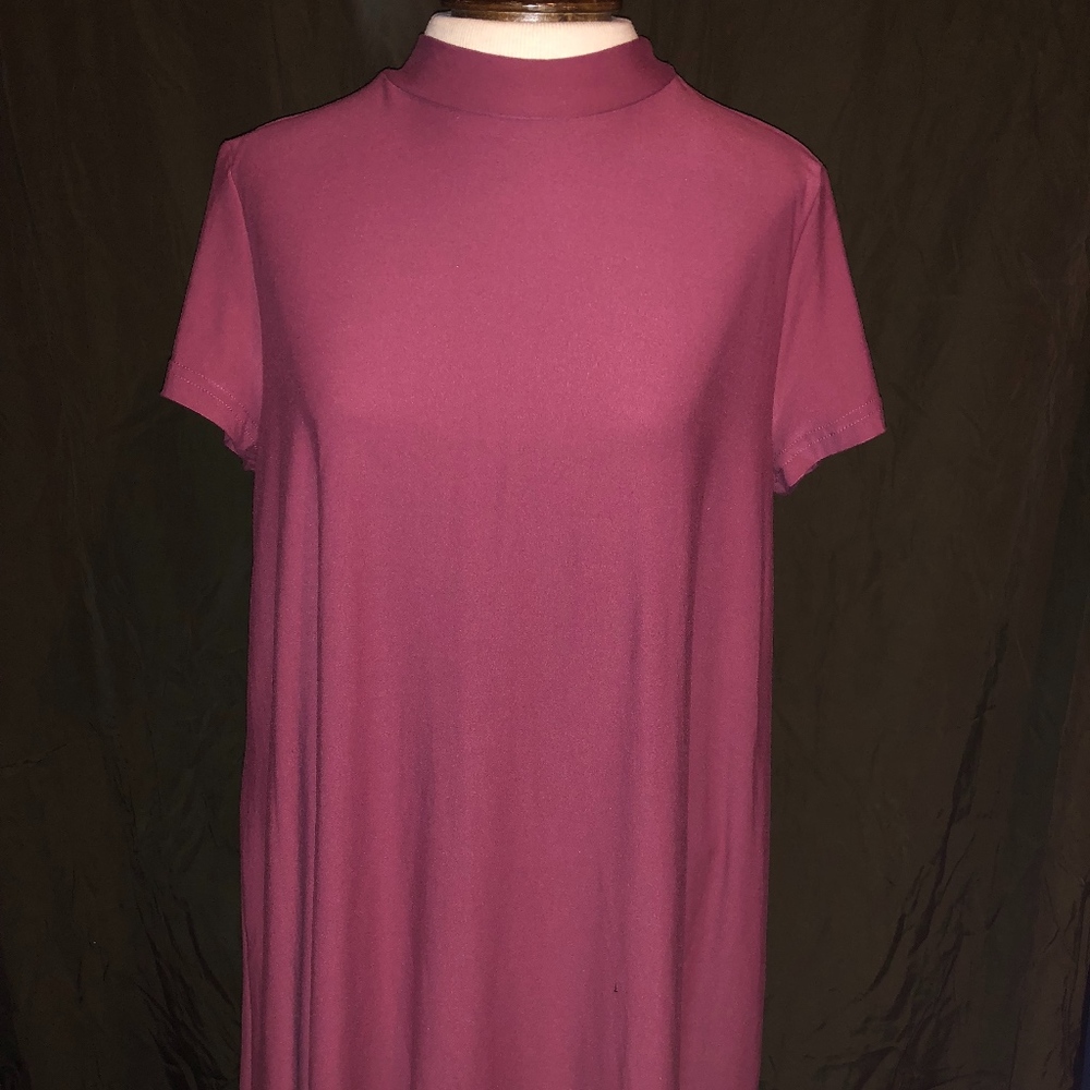 BNWT Pink Rose Dress- XL